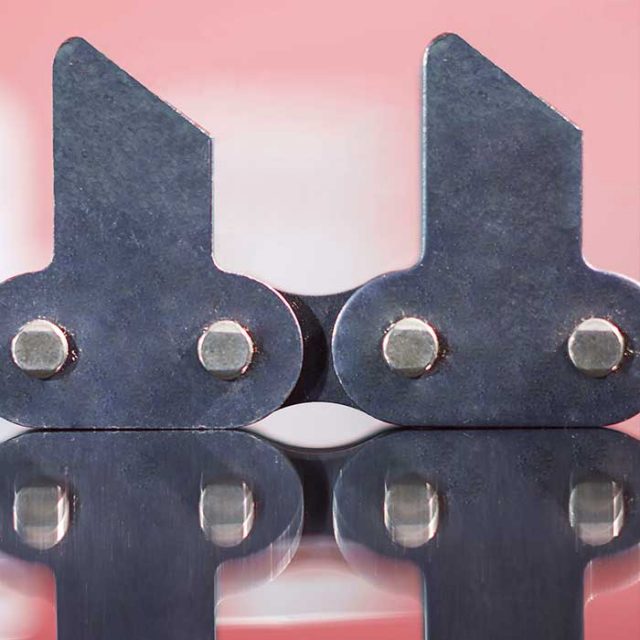 Sedis chaînes adaptées, chaînes à plaques taquets