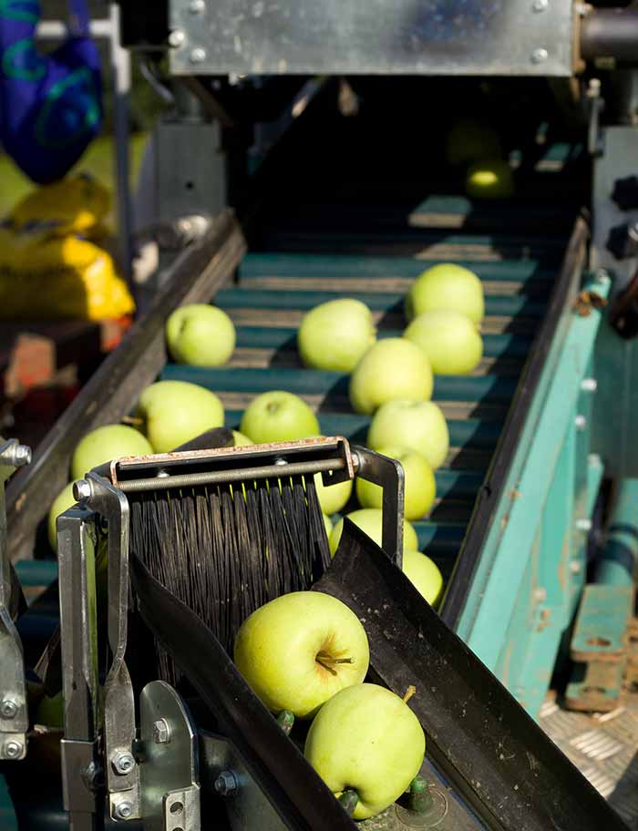 sedis-img-lebensmittelindustrie-obst-und-gemuse SEDIS Lebensmittelindustrie Obst und Gemüse