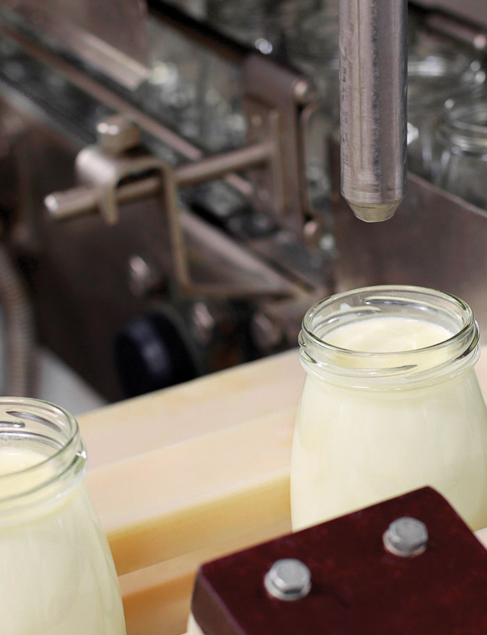 sedis-img-milchprodukte Sedis Lebensmittelindustrie, Milchprodukte